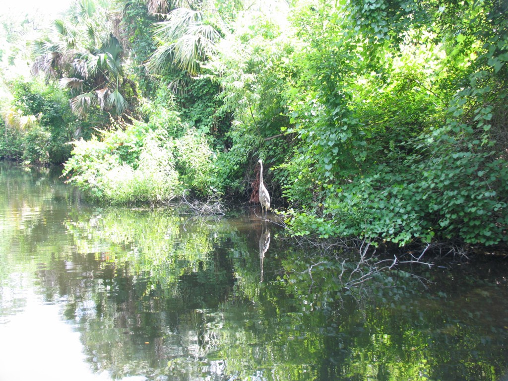 Homosassa Springs State Park.