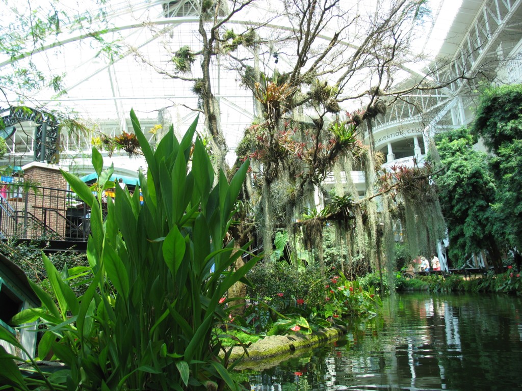 Inside the Opry complex