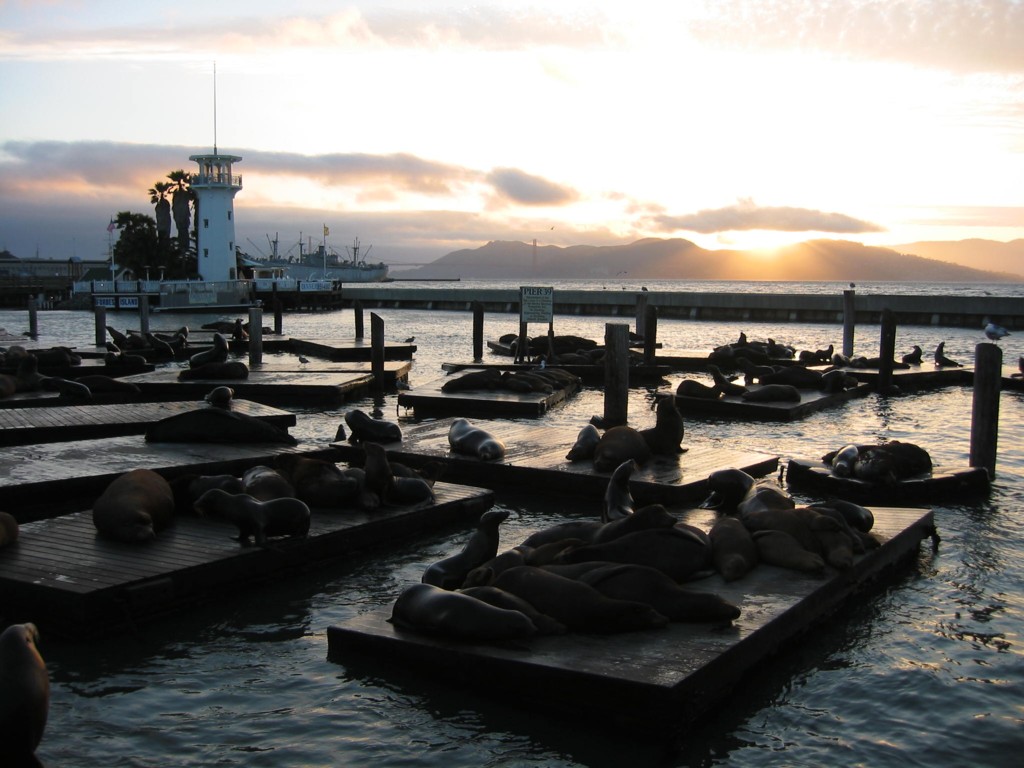 San Francisco Harbor