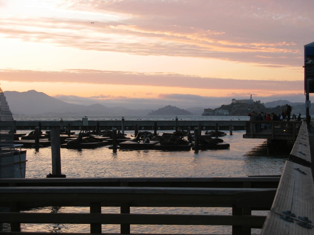 San Francisco Harbor