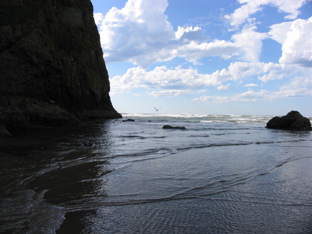 Pacific Ocean along the Oregon Coast.