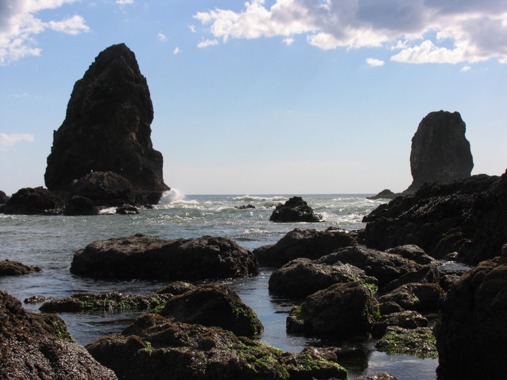 Pacific Ocean along the Oregon Coast.