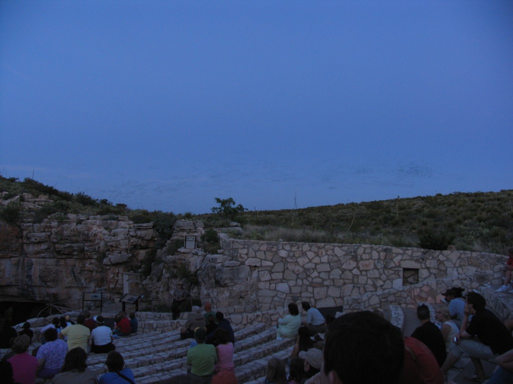 Bats flying out of Carlsbad Caverns at dusk
